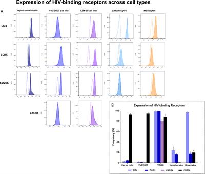 Vaginal Epithelium Transiently Harbours HIV-1 Facilitating Transmission